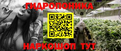 амф Бийск