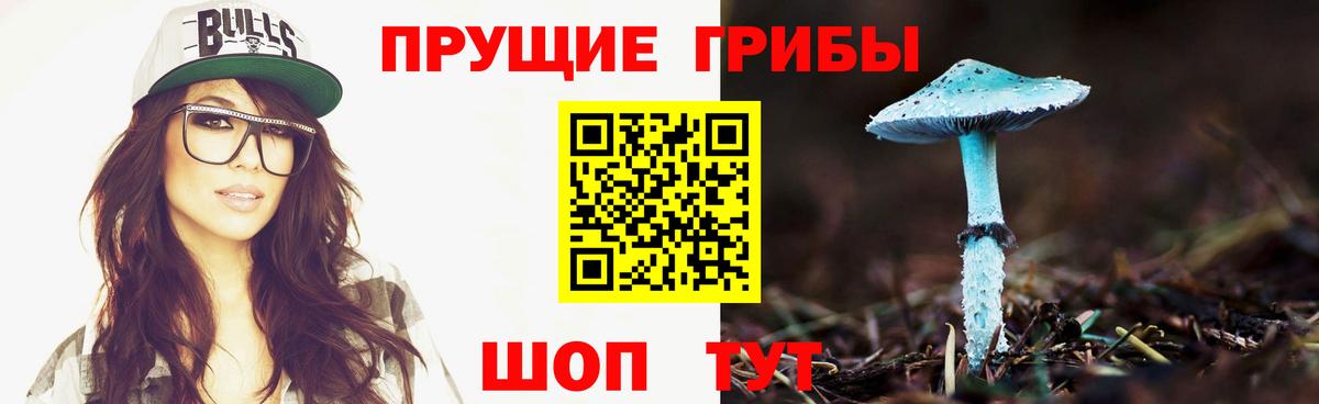 Галлюциногенные грибы ЛСД Киселёвск